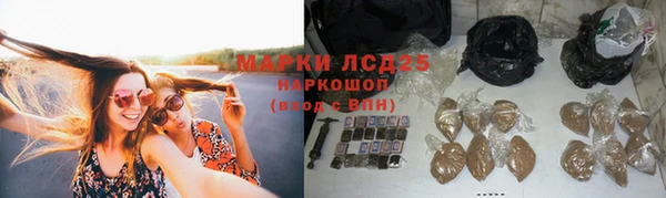 амф Алексин