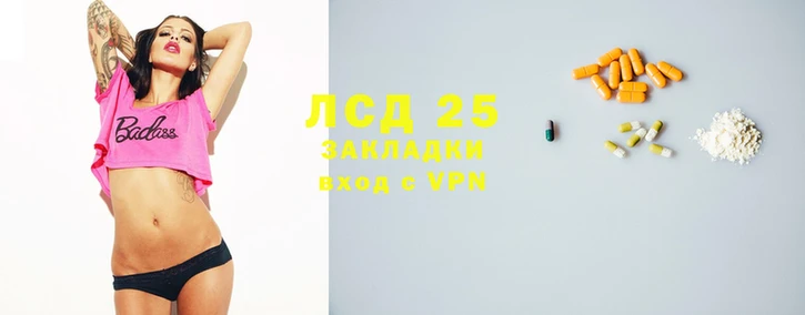 кокс Гатчина