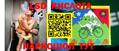 спиды Волгодонск