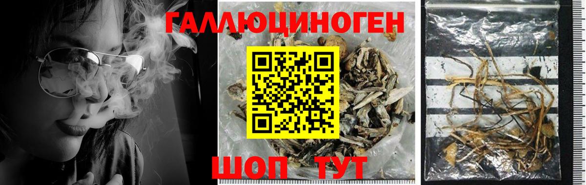 Галлюциногенные грибы Psilocybine cubensis  Вход с VPN  Кинель 